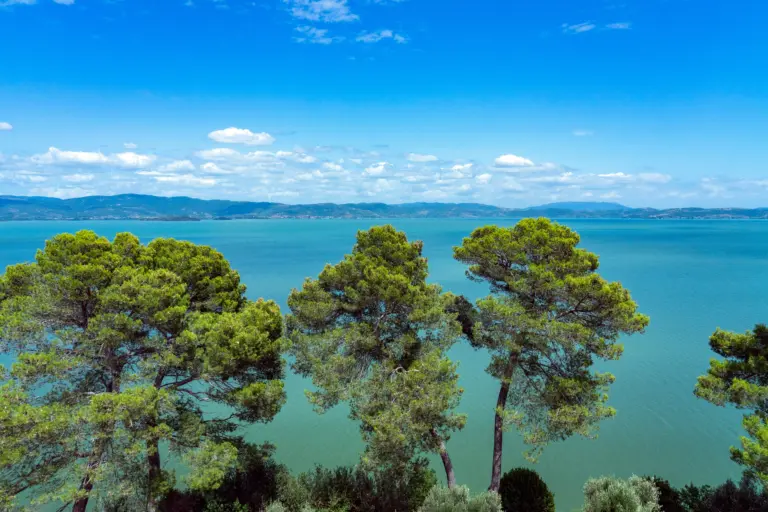 Bo vid Lago Trasimeno